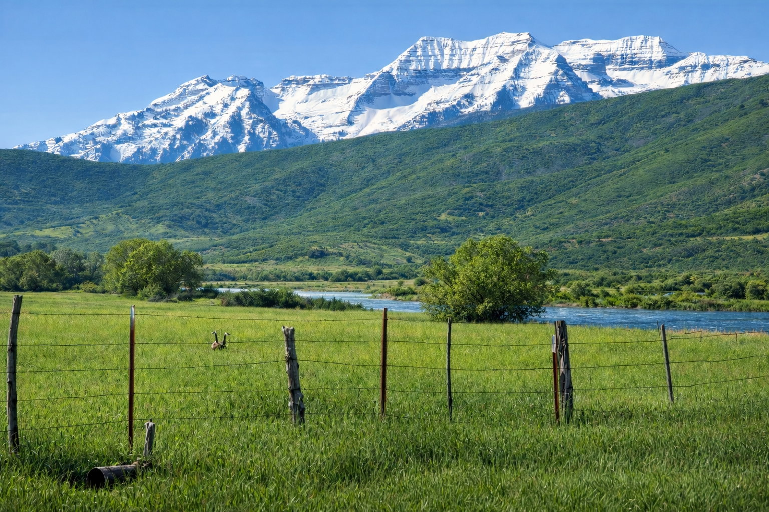 This photo of the Provo River and Mount Timpanogos is taken from the southwest corner of the property.
