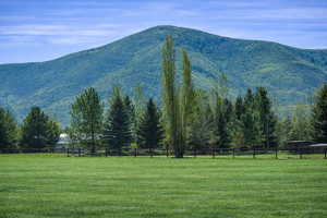 Photo from subject property looking south