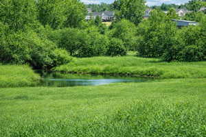 Photo standing on the property looking north over the fence towards the Provo River