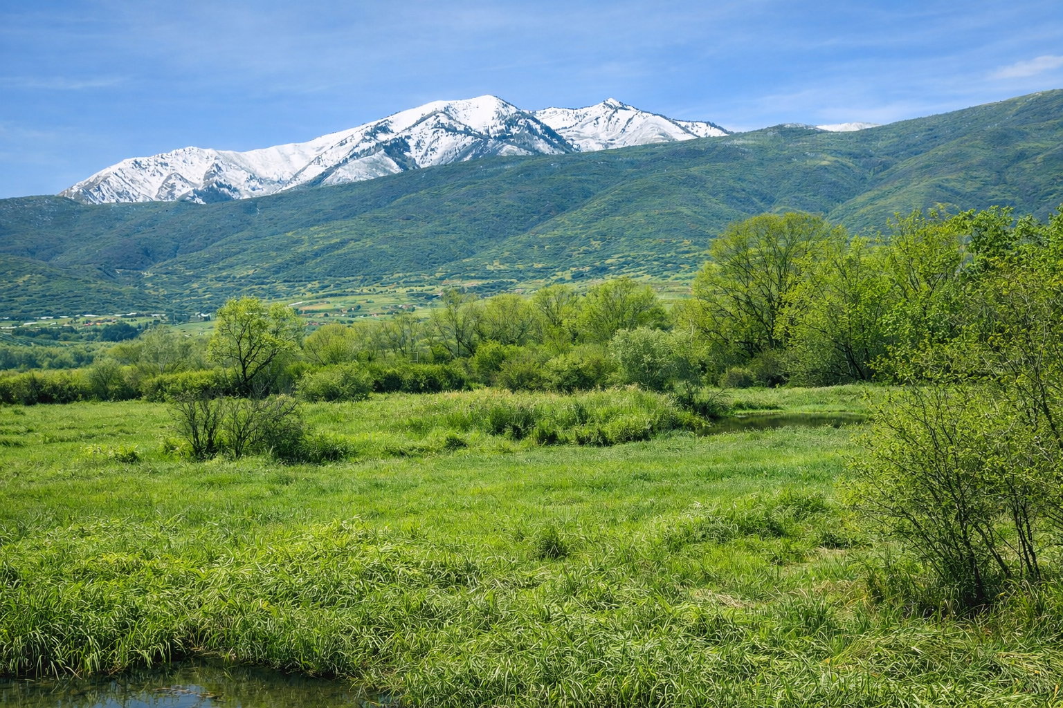 This photo is NOT the actual property but is taken standing on the subect property and is the open space, Provo River bottom looking over the fence.