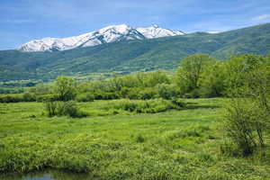 This photo is NOT the actual property but is taken standing on the subect property and is the open space, Provo River bottom looking over the fence.