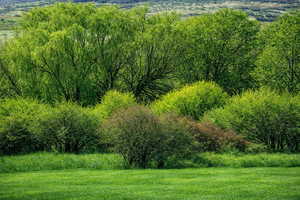 Photo standing on the property looking west over the fence towards the Provo River