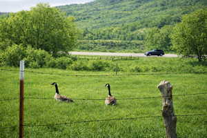 Photo looking south over the fence towards the Provo River parking down stream.