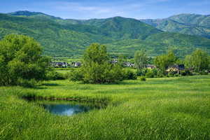 Photo standing on the property looking north over the fence towards the Provo River