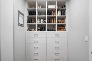 View of walk in closet