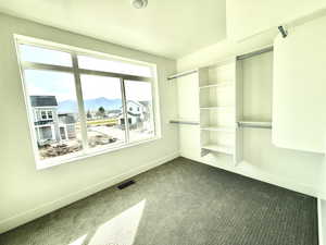 Walk in closet featuring dark carpet