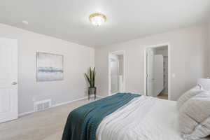 Carpeted bedroom featuring a spacious closet and connected bathroom