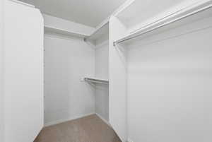 Walk in closet with light carpet