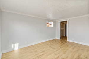 Empty room with light wood-type flooring, crown molding, and a textured ceiling