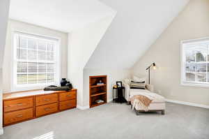 Bedroom featuring light carpet and lofted ceiling