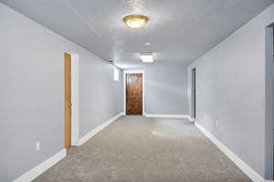 Basement family room