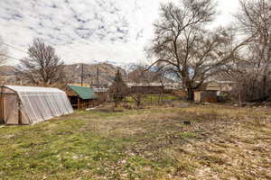 Garden area in backyard