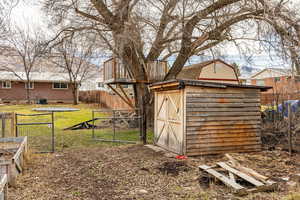 Exterior building and tree house