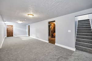 Basement family room