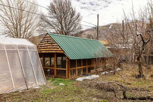 Green house, chicken coop, elderberries and fruit trees