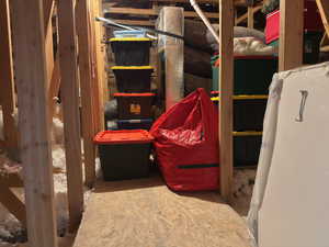 Attic storage-access from guest bedroom