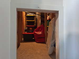 Attic storage-access from guest bedroom