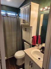 Bathroom with vanity, dark wood-style flooring, a shower with shower curtain, and a textured wall