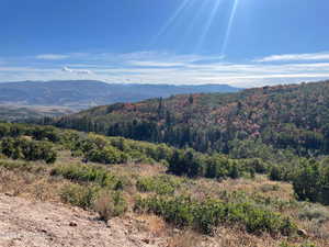 Mountain view featuring a forest