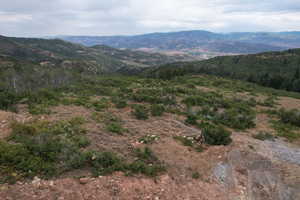 View of mountain background