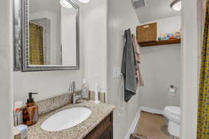 Bathroom featuring vanity and a shower with curtain
