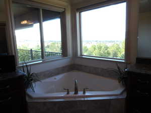 Full bath with vanity, healthy amount of natural light, and a garden tub