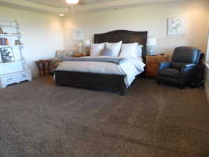 Large primary bedroom with a raised ceiling and ceiling fan