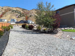 Access to the shed/back yard