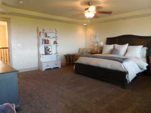Large primary bedroom featuring a raised ceiling and a ceiling fan