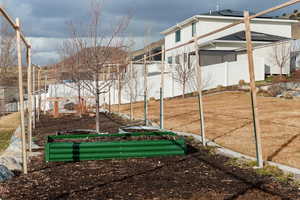 View of yard with a vegetable garden