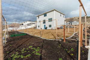 View of yard featuring a vegetable garden