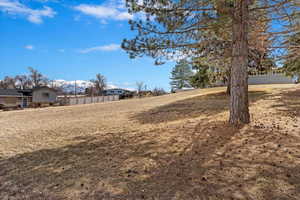 View of yard featuring a mountain view