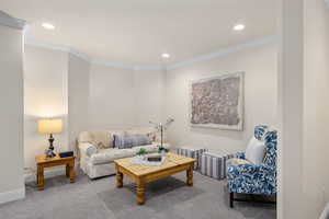 Basement Family Room