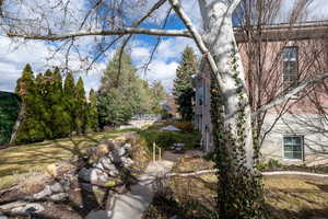 Access to Basement ADU