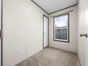 Empty room featuring light carpet and crown molding