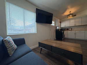 Living area featuring dark wood-type flooring, a textured ceiling, and plenty of natural light