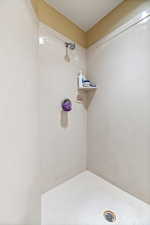 Full bath featuring walk in shower