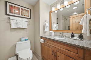 Full bathroom featuring vanity and a shower