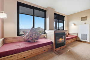 Sitting room with light carpet, a glass covered fireplace, a heating unit, and a wainscoted wall