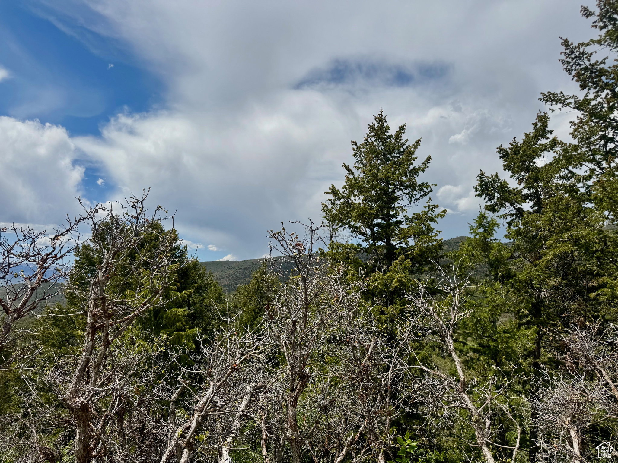 View of mountain backdrop