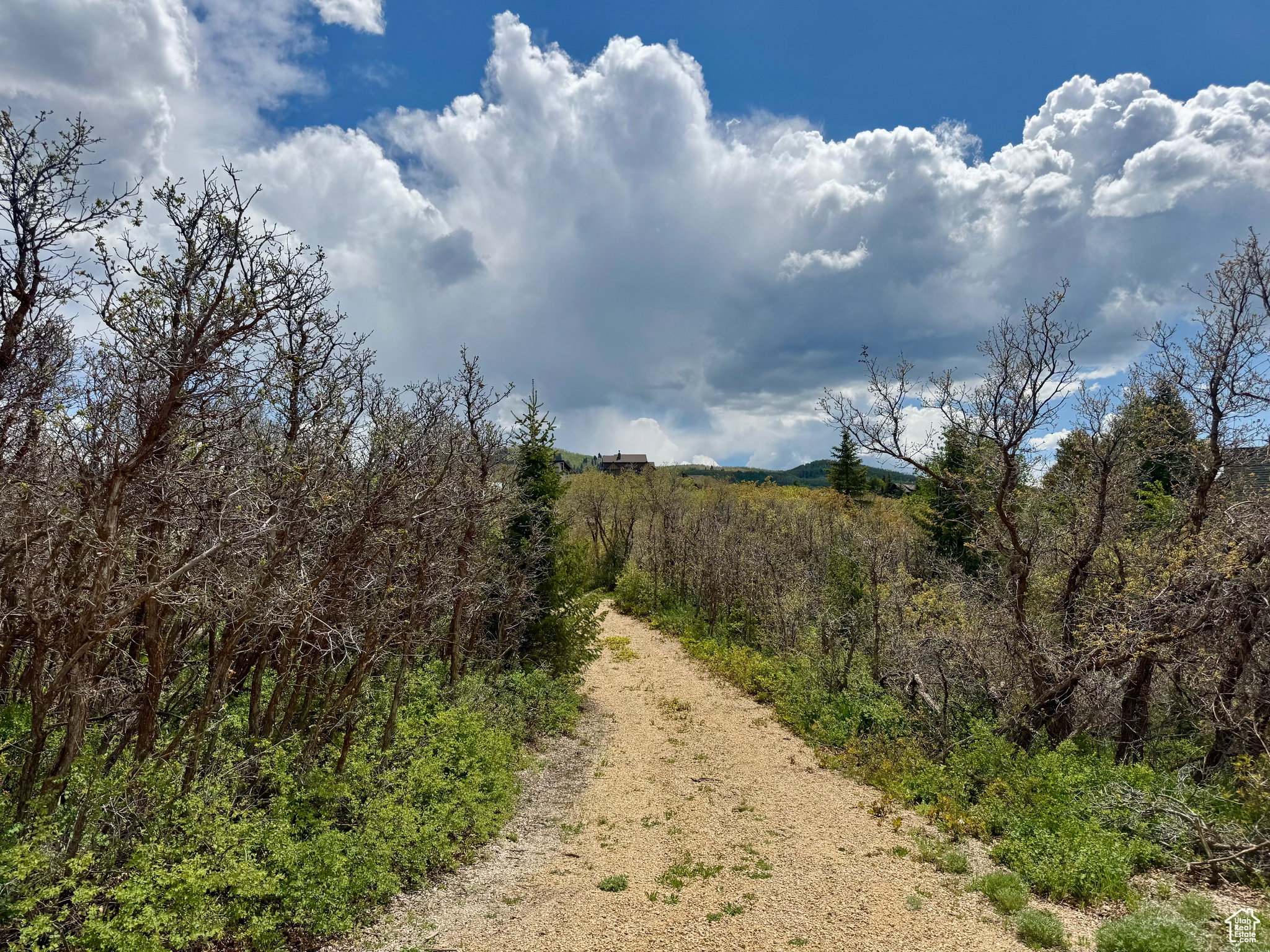 View of road with a rural view