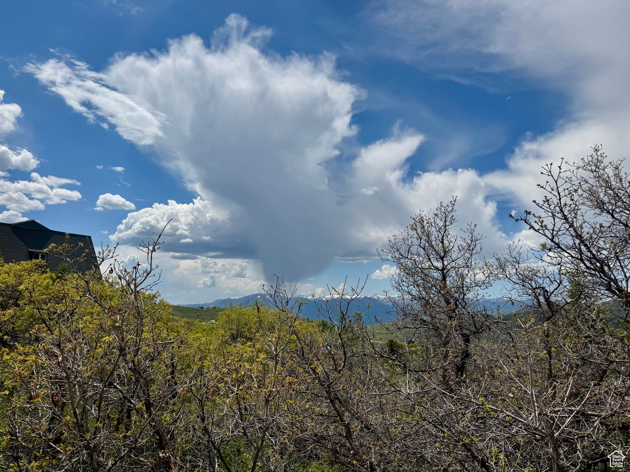 View of mountain background