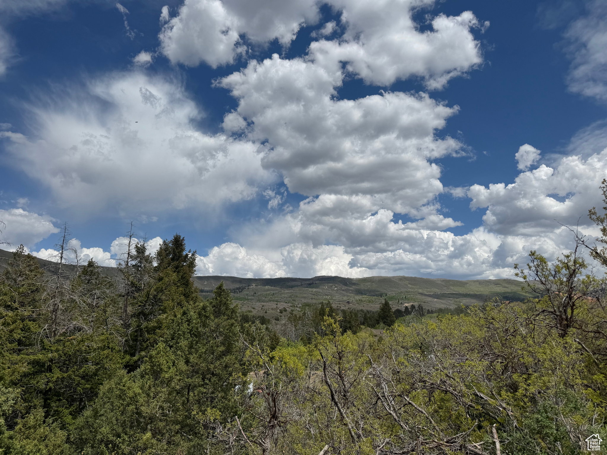View of mountain background