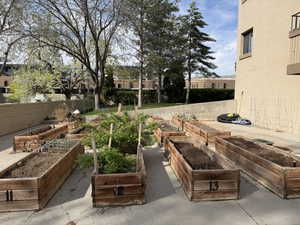 View of yard with a vegetable garden and a patio area