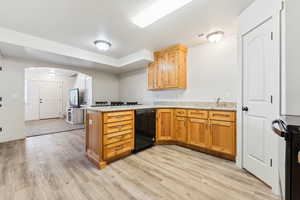 Kitchen featuring a peninsula, arched walkways, light wood-type flooring, and dishwasher