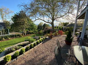 View of green lawn featuring a vegetable garden