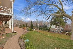 View of grassy yard