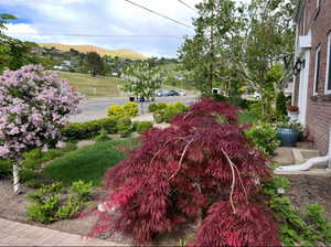 View of yard featuring a mountain view