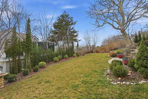 View of grassy yard
