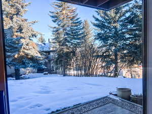View of yard covered in snow